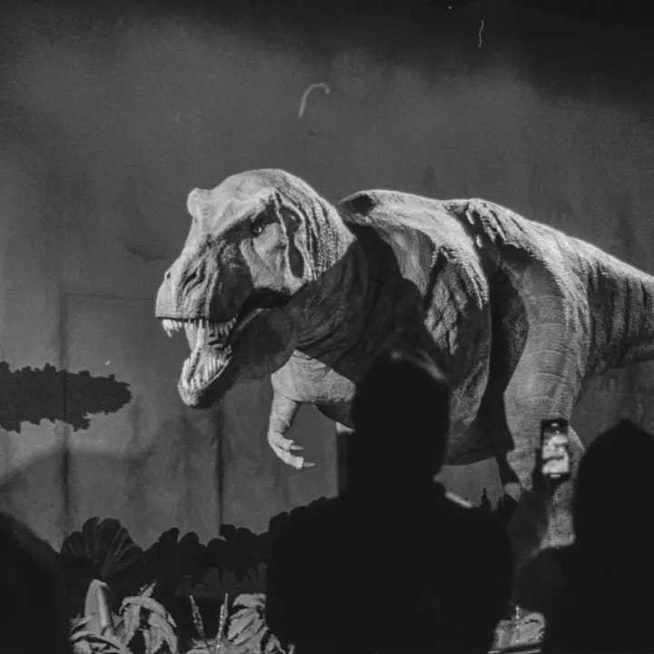 T-rex at the national museum