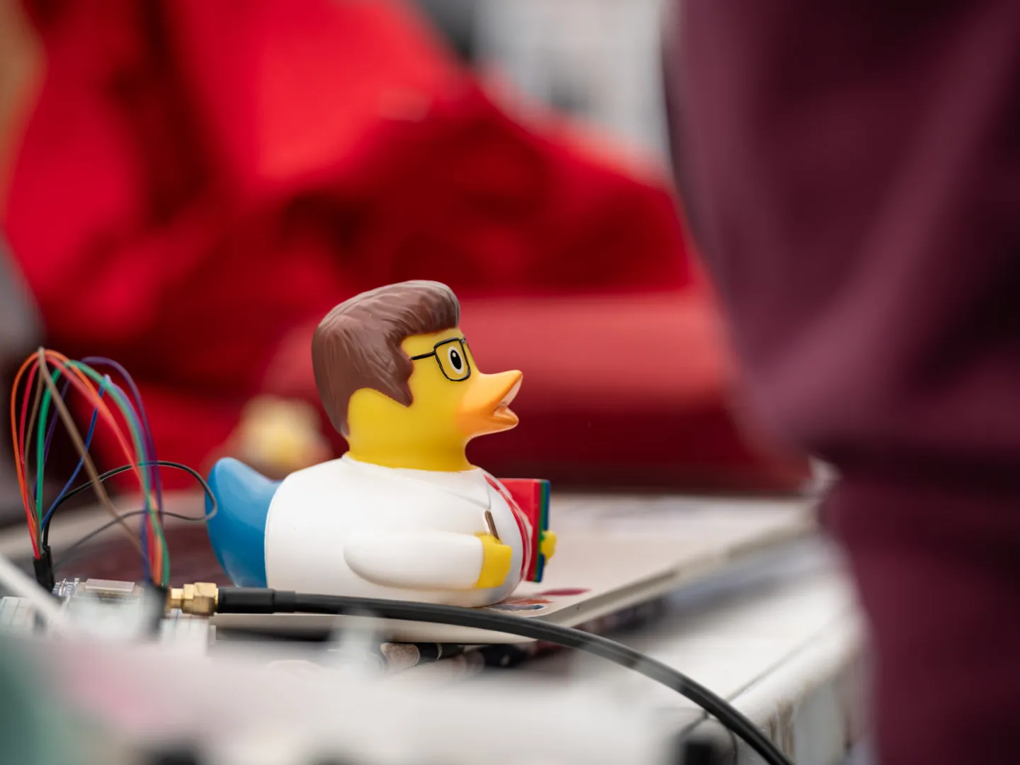 Rubber ducky