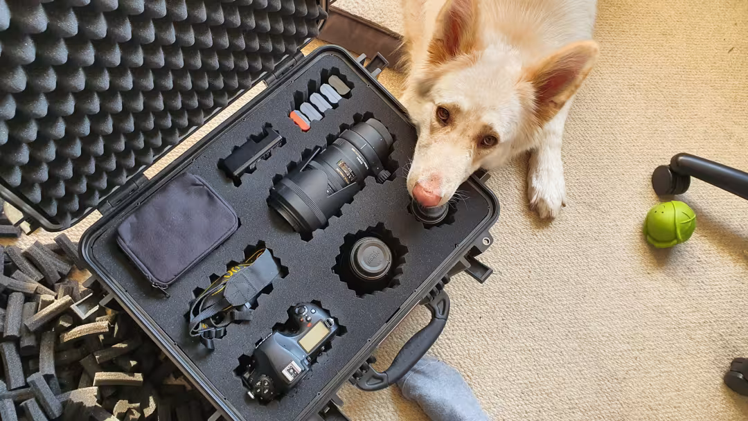 Camera box with a dog head on it
