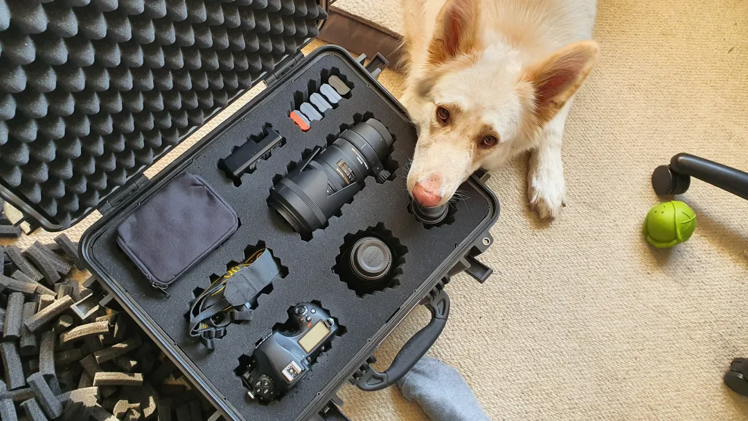 Camera box with a dog head on it