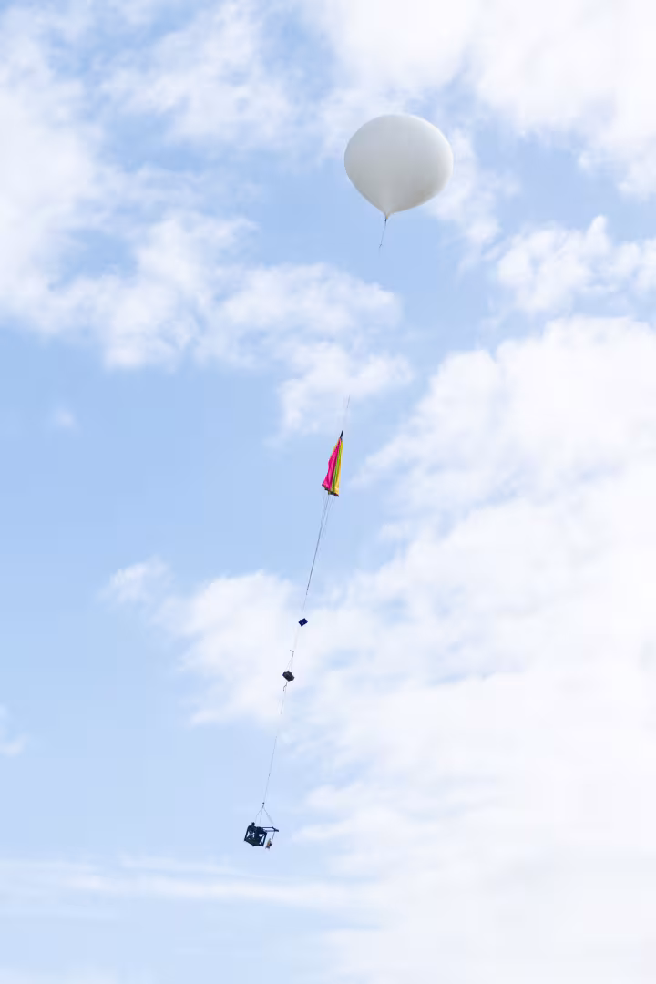 Balloon fly