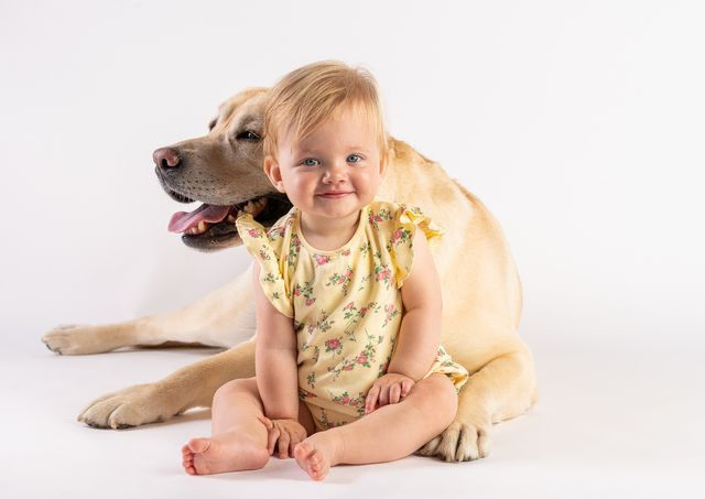 Young girl portrait with her Labrador on white