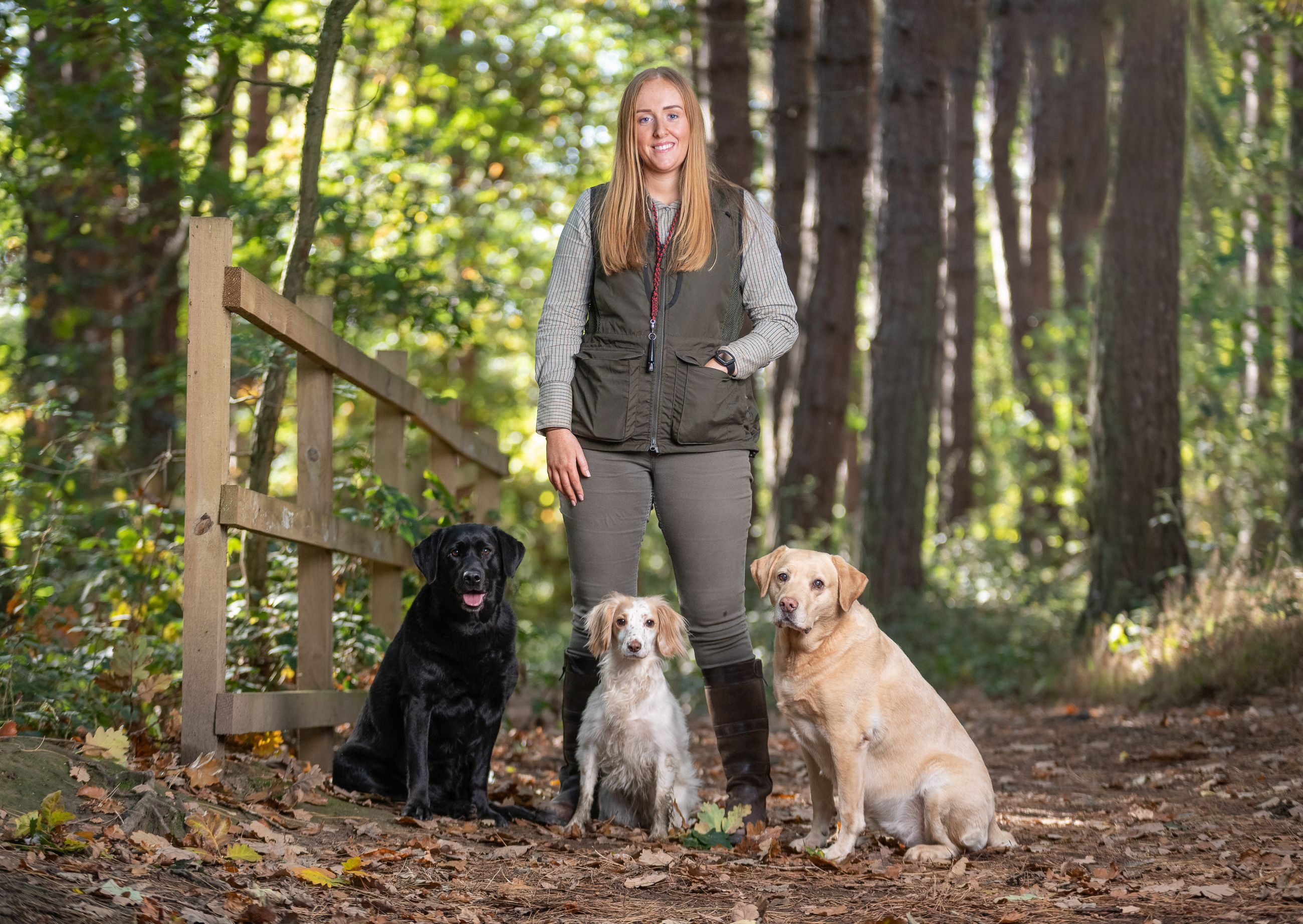 three dogs sitting with trainer in a forest