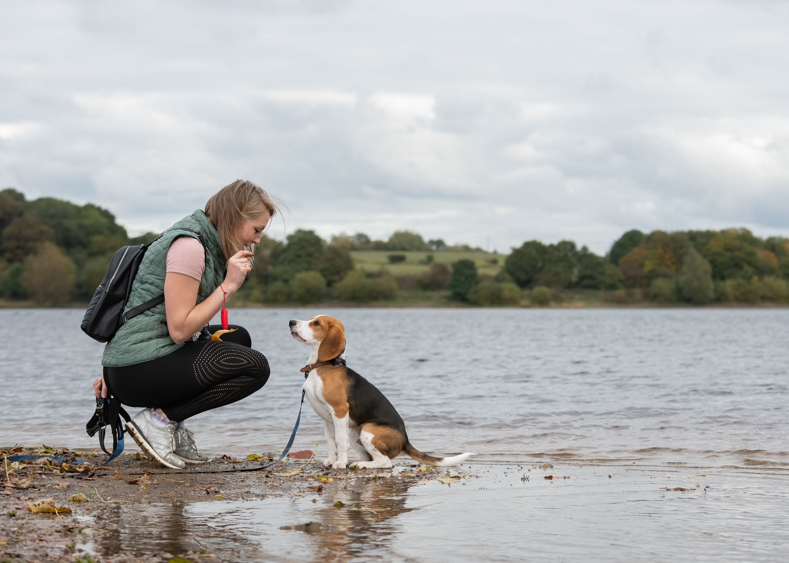 A beagle and owner at the edge of a lake