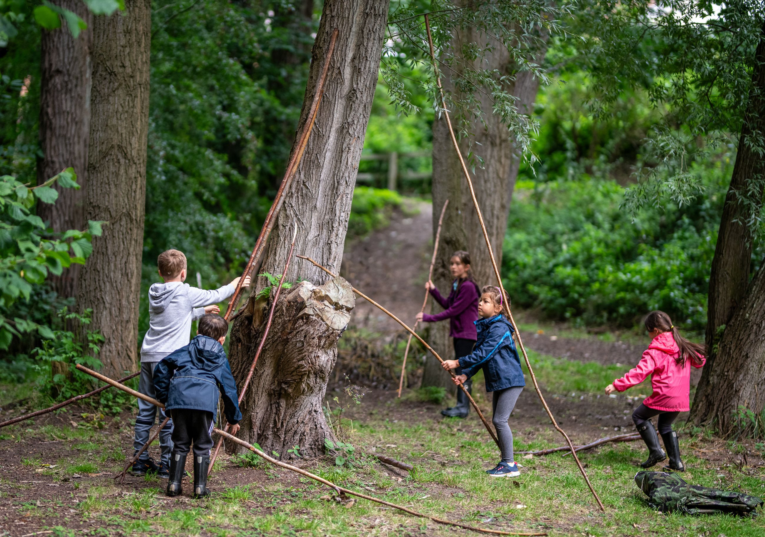 Children building a fort with sticks
