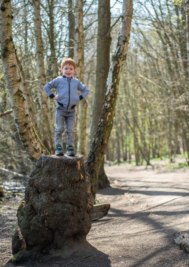 Young boy standing high on a tree stump